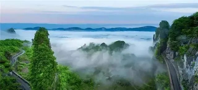 大峡谷富硒茶价格多少钱（大峡谷茶业）-硒宝网