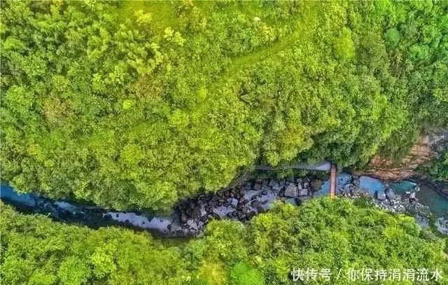 大峡谷富硒茶价格多少钱（大峡谷茶业）-硒宝网