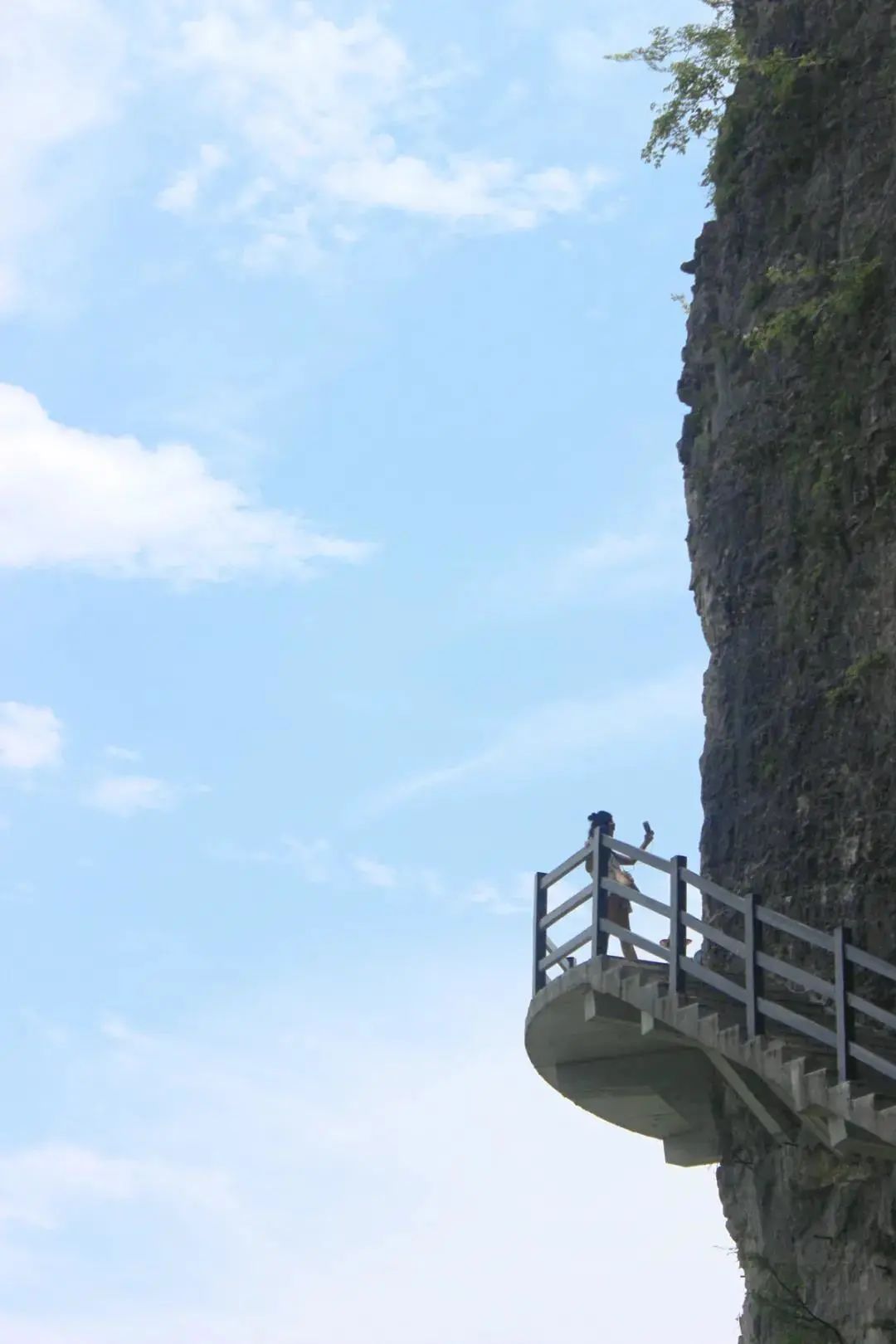 大峡谷富硒茶价格多少钱（大峡谷茶业）-硒宝网