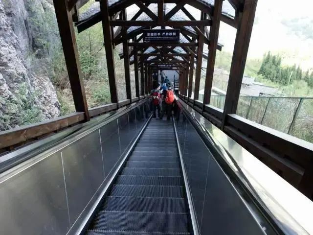 大峡谷富硒茶价格多少钱（大峡谷茶业）-硒宝网