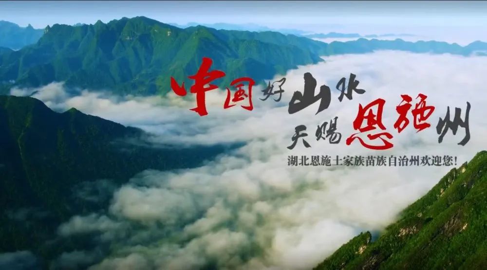 大峡谷富硒茶价格多少钱（大峡谷茶业）-硒宝网