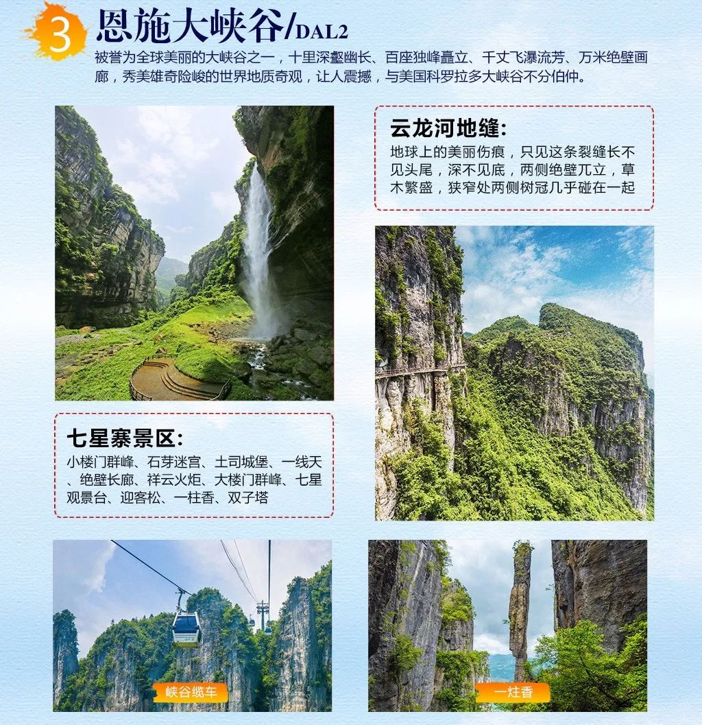 大峡谷富硒茶价格多少钱（大峡谷茶业）-硒宝网