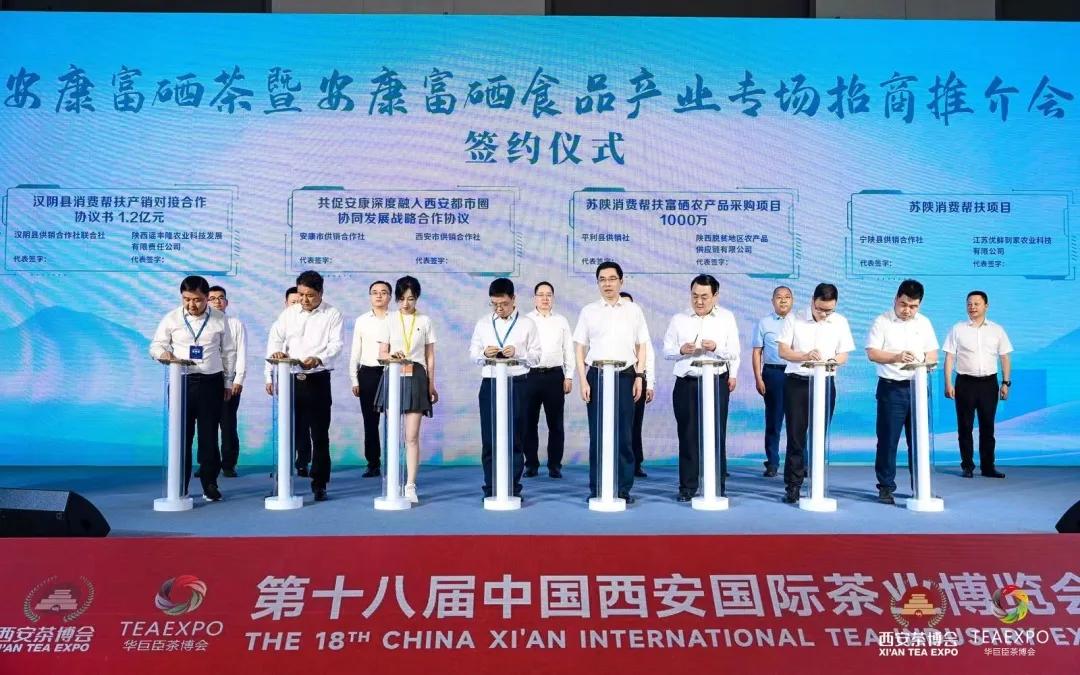 紫阳富硒茶王是谁开的店（紫阳富硒茶视频）-硒宝网