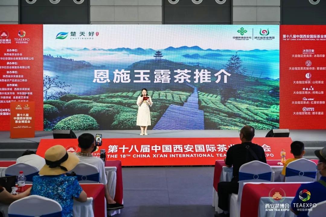 紫阳富硒茶王是谁开的店（紫阳富硒茶视频）-硒宝网