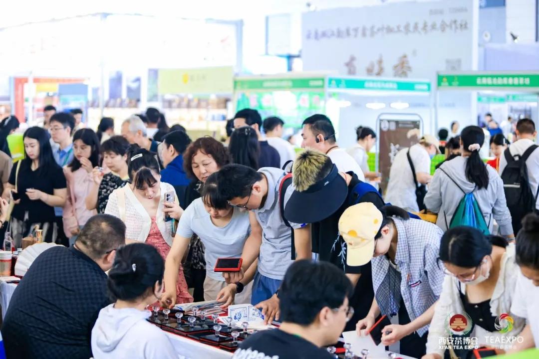 紫阳富硒茶王是谁开的店（紫阳富硒茶视频）-硒宝网