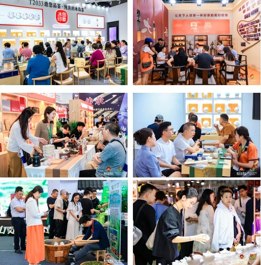 紫阳富硒茶王是谁开的店（紫阳富硒茶视频）-硒宝网