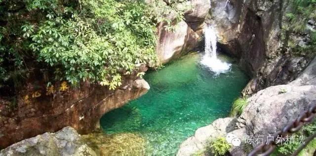 石台县仙寓山富硒野生茶（石台仙寓山茶多少钱一斤）-硒宝网