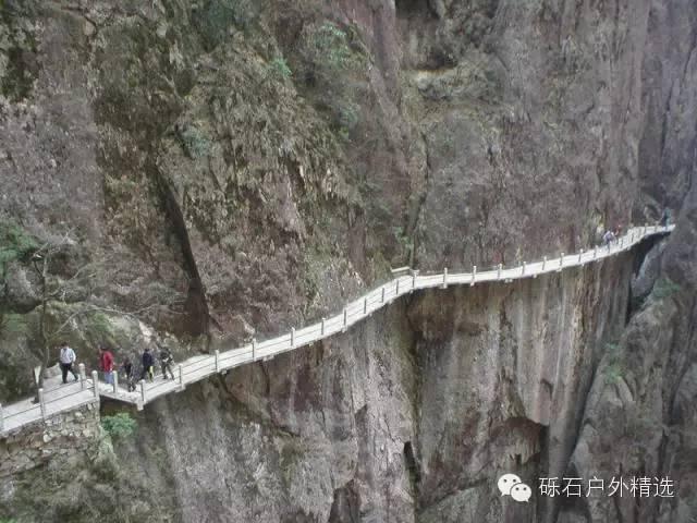 石台县仙寓山富硒野生茶（石台仙寓山茶多少钱一斤）-硒宝网