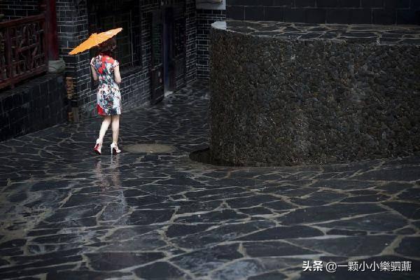 焕古茶叶紫阳富硒茶一级(紫阳富硒茶盒装的价格与作用)-硒宝网