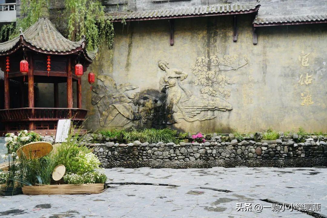 焕古茶叶紫阳富硒茶一级(紫阳富硒茶盒装的价格与作用)-硒宝网