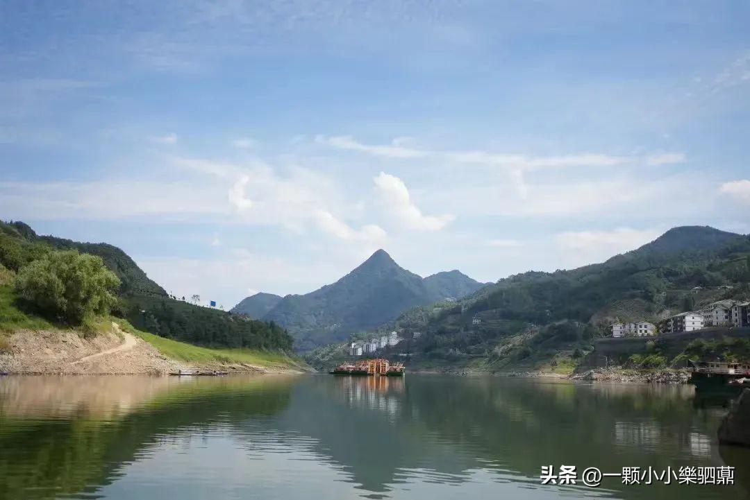 焕古茶叶紫阳富硒茶一级(紫阳富硒茶盒装的价格与作用)-硒宝网