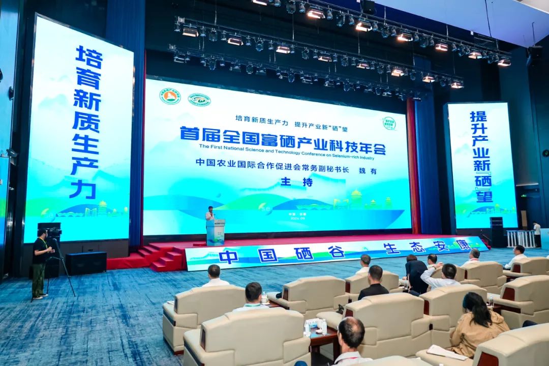 300一斤的富硒茶贵吗（贵州富硒茶多少钱一斤）-硒宝网