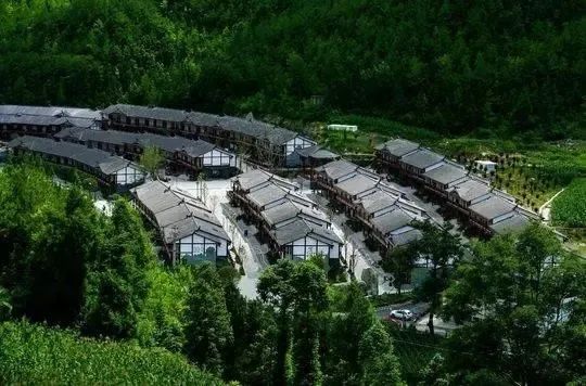 万源富硒茶 雀舌在哪买（万源富硒雀舌礼盒2019）-硒宝网