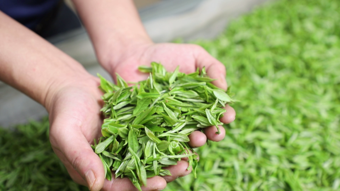 300一斤的富硒茶贵吗(富硒茶价格表)-硒宝网