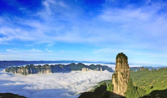 富硒龙井茶超微片的功效（龙井茶含硒量是多少）-硒宝网