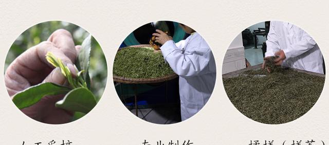 富硒龙井茶超微片的功效（龙井茶含硒量是多少）-硒宝网