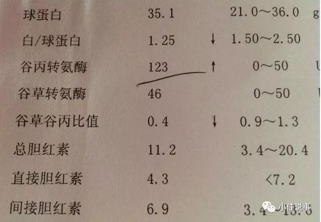 富硒茶冲泡多少次比较好（富硒茶和普通茶的区别）-硒宝网