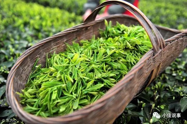 富硒茶冲泡多少次比较好（富硒茶和普通茶的区别）-硒宝网