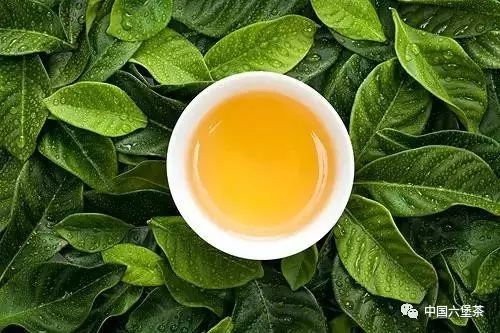 300一斤的富硒茶贵吗（富硒茶多少钱一袋）-硒宝网