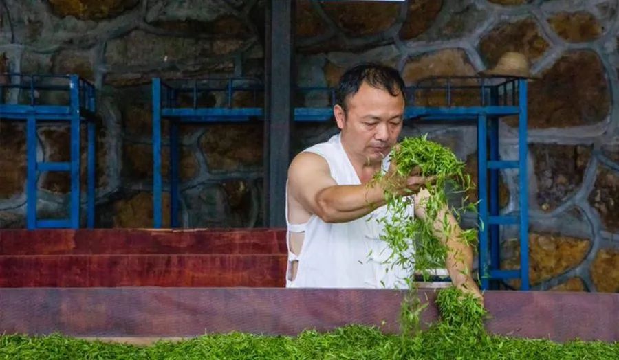 恩施富硒茶价格表春之然(恩施的茶叶是富硒茶吗)-硒宝网