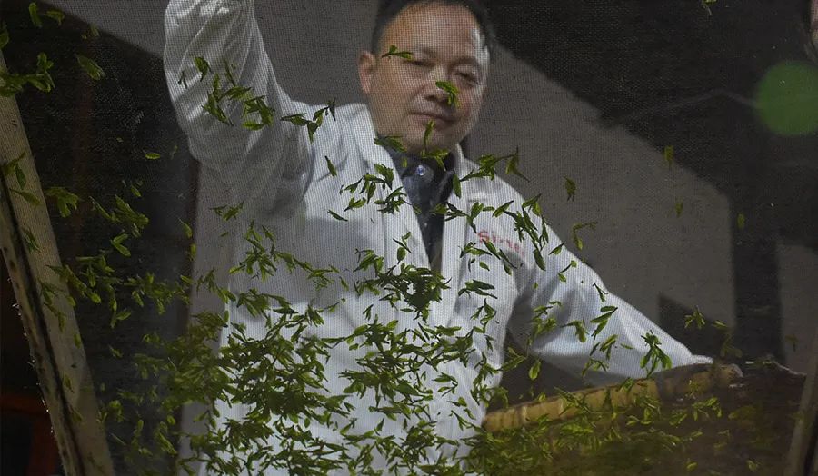 恩施富硒茶价格表春之然(恩施的茶叶是富硒茶吗)-硒宝网