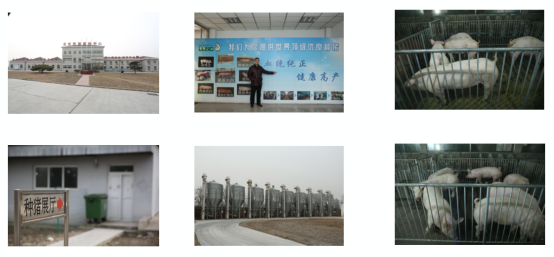 富硒茶的价格是多少一斤（富硒茶叶价格）-硒宝网