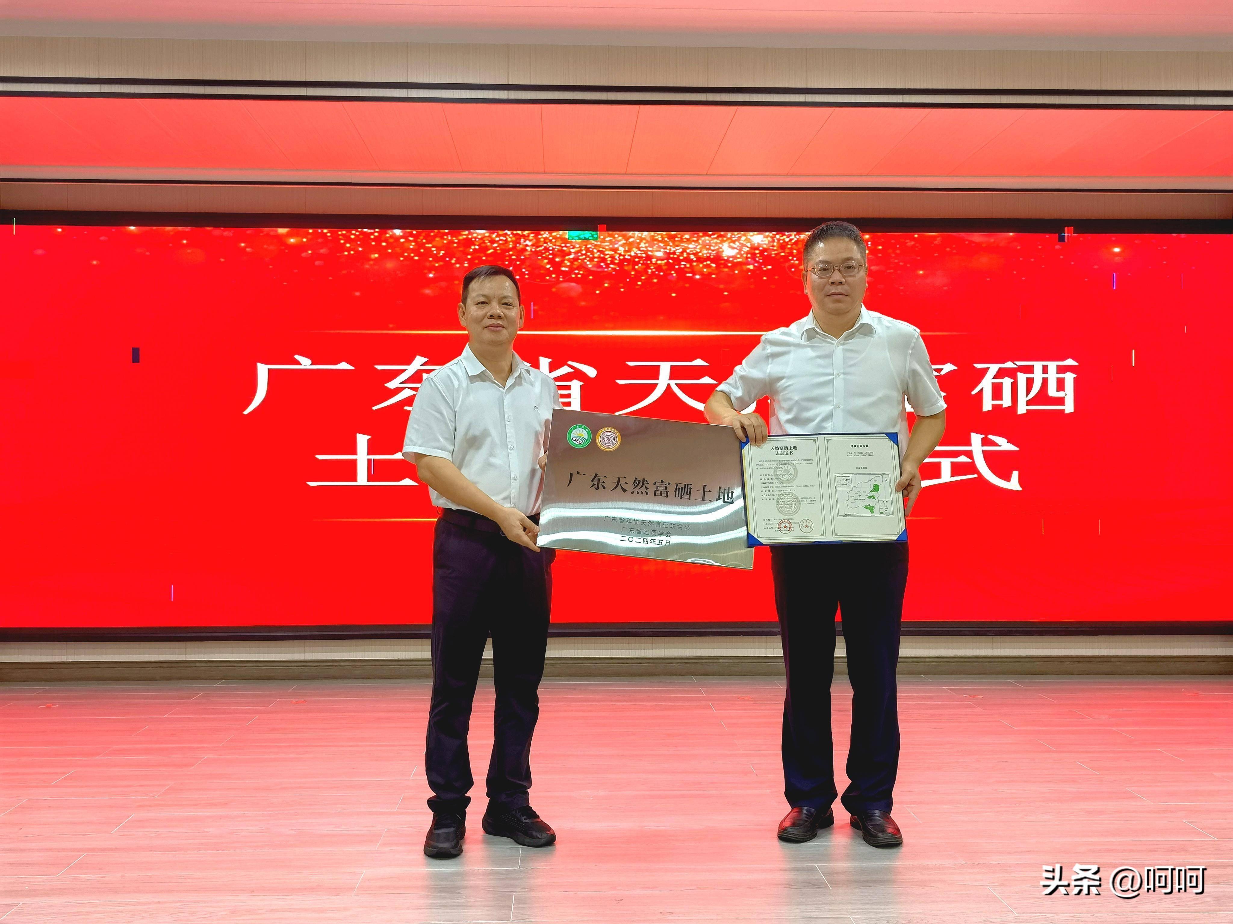 全国三大富硒茶区在哪里(茶区富硒全国排名第几)-硒宝网