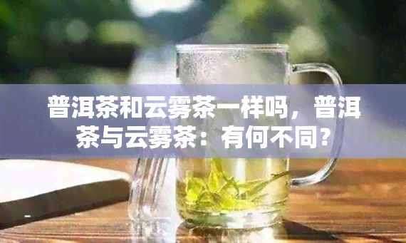 富硒茶和云雾绿茶一样吗（绿茶和云雾茶的区别）-硒宝网