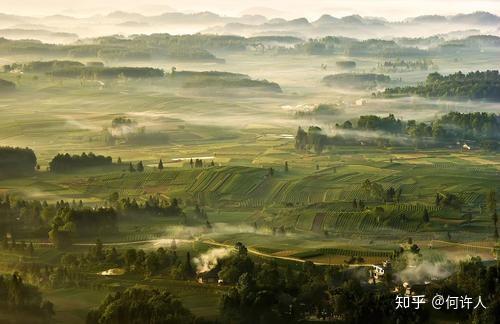 四川恩施富硒贡茶哪里买（恩施富硒茶哪个牌子好）-硒宝网