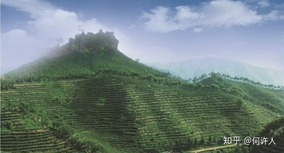 四川恩施富硒贡茶哪里买（恩施富硒茶哪个牌子好）-硒宝网