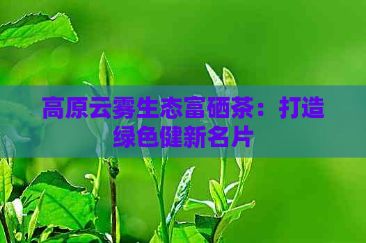 高海拔高品质高富硒野茶(高海拔茶叶有哪些特点)-硒宝网