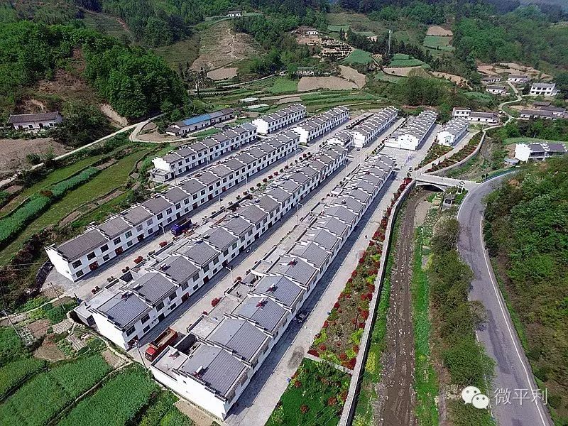 天津富硒八仙茶哪里有卖(八仙山富硒红茶)-硒宝网