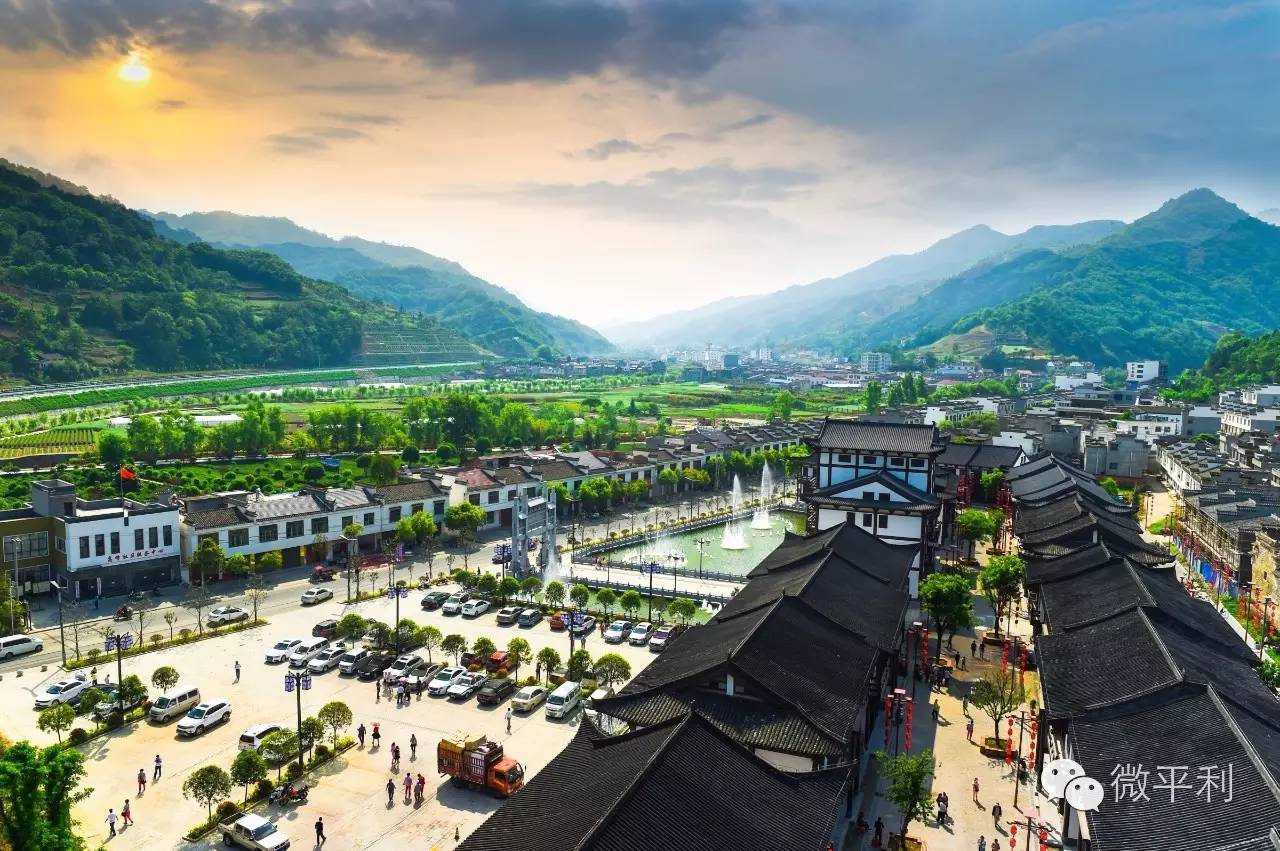 天津富硒八仙茶哪里有卖(八仙山富硒红茶)-硒宝网