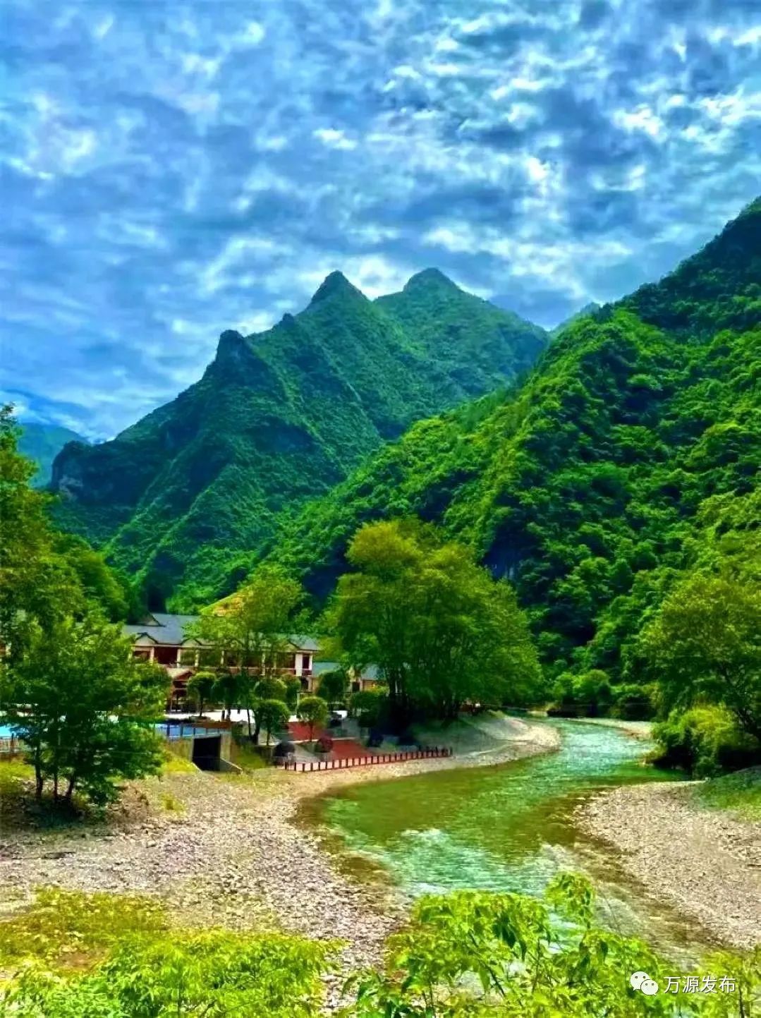 万源富硒茶巴山雀舌营养（富硒雀舌茶叶万源）-硒宝网