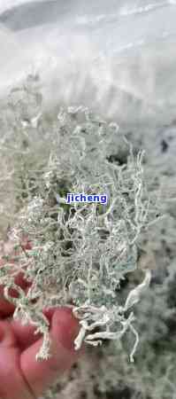 正常人能长期喝富硒藤茶(能喝长期正常富硒人藤茶水吗)-硒宝网