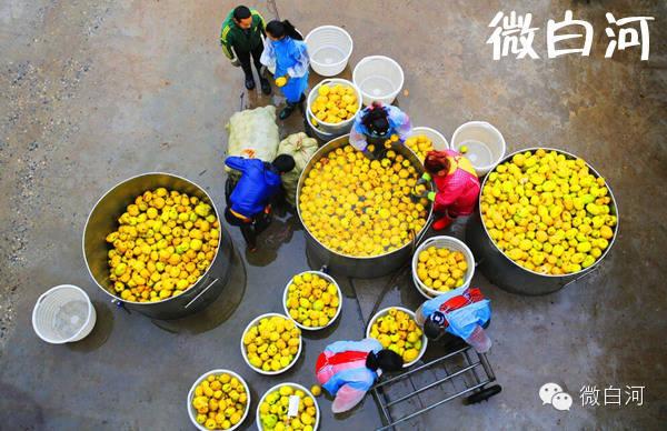 富硒茶和酒可以一起喝吗(喝茶起酒富硒可以喝吗)-硒宝网