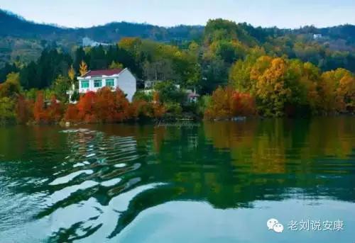 富硒茶和酒可以一起喝吗(喝茶起酒富硒可以喝吗)-硒宝网