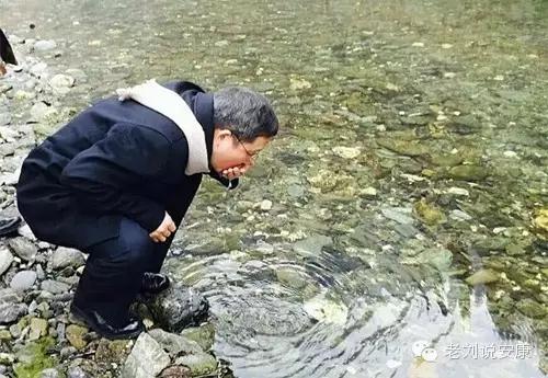 富硒茶和酒可以一起喝吗(喝茶起酒富硒可以喝吗)-硒宝网