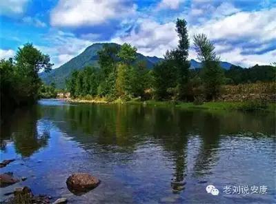 富硒茶和酒可以一起喝吗(喝茶起酒富硒可以喝吗)-硒宝网