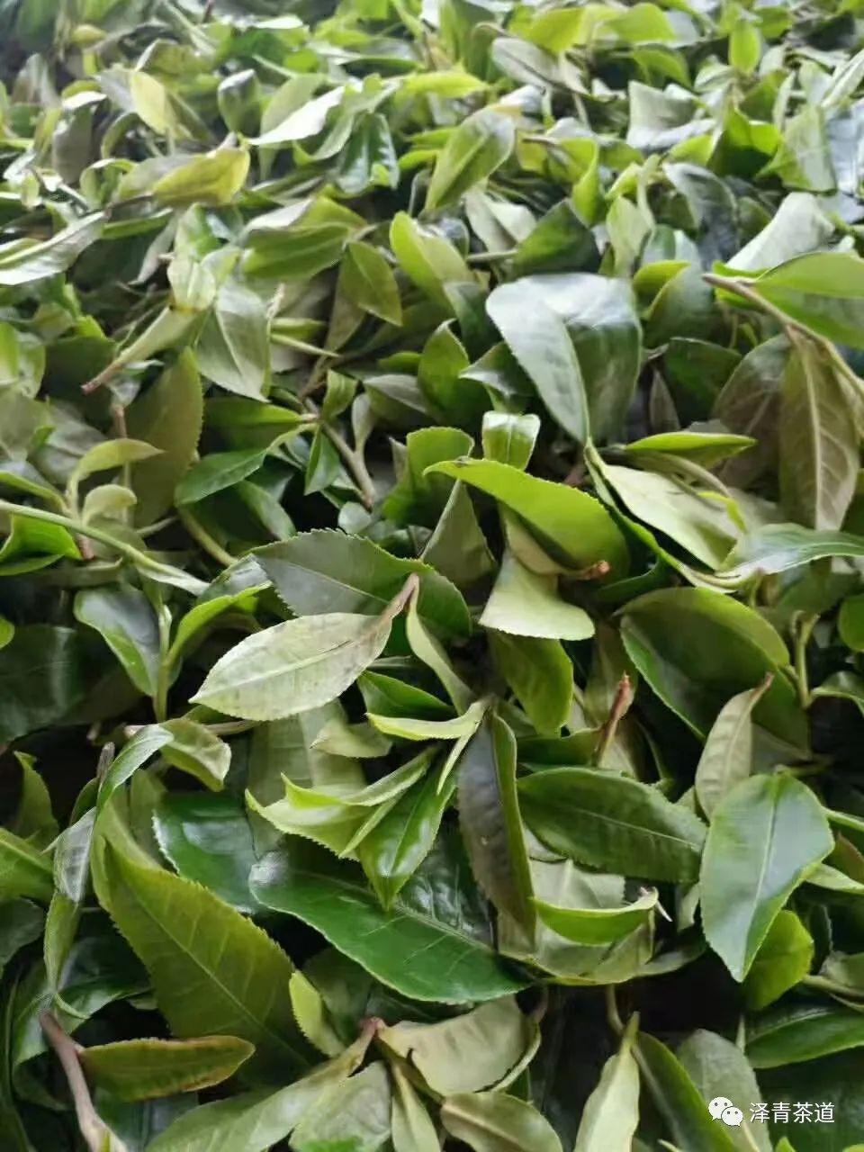 富硒水和茶哪个好一点呢(富硒茶叶)-硒宝网