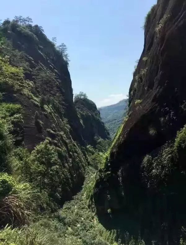 富硒水和茶哪个好一点呢(富硒茶叶)-硒宝网