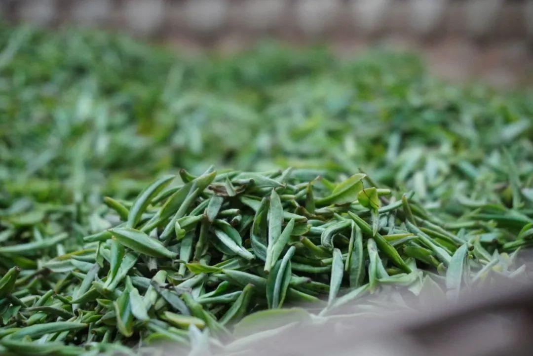 富硒水和茶哪个好一点呢(富硒茶叶)-硒宝网