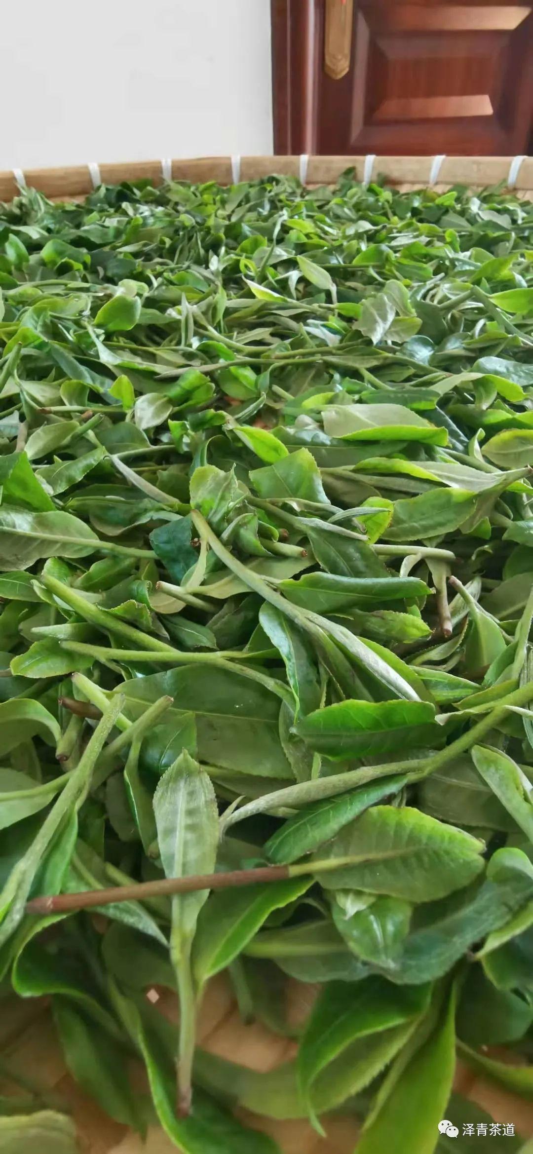 富硒水和茶哪个好一点呢(富硒茶叶)-硒宝网