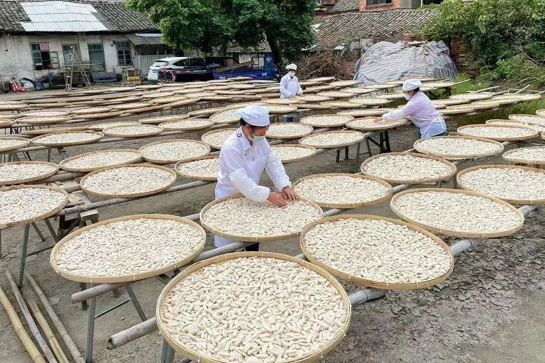 山西富硒八仙茶加工厂家(富硒八仙茶价格)-硒宝网