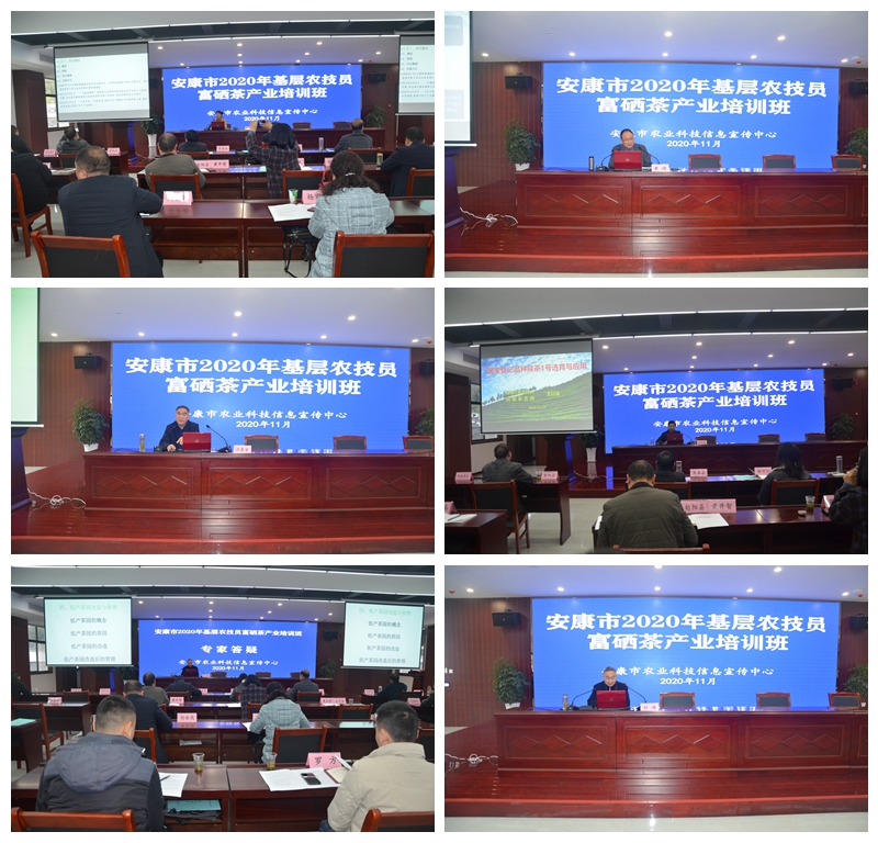 葵峰富硒茶培训班怎么样（葵峰富硒茶培训班怎么样）-硒宝网