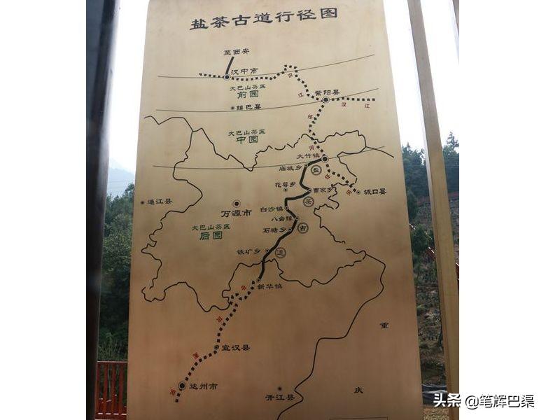 万源富硒茶代言人是哪个（万源富硒茶多少钱一斤）-硒宝网