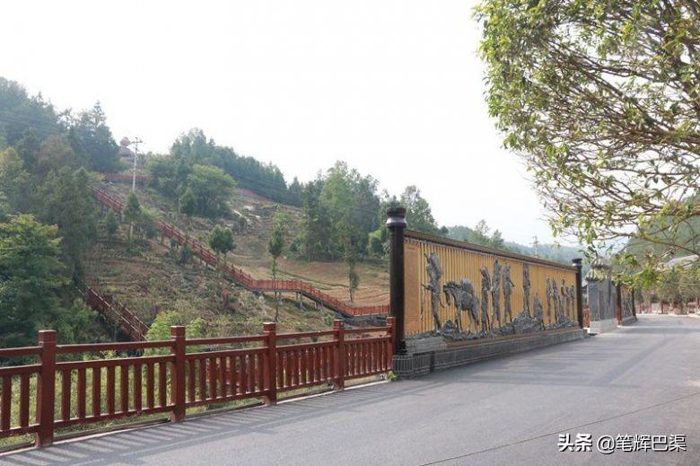 万源富硒茶代言人是哪个（万源富硒茶多少钱一斤）-硒宝网