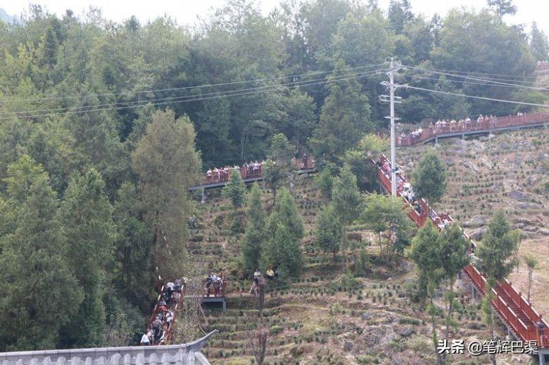 万源富硒茶代言人是哪个（万源富硒茶多少钱一斤）-硒宝网