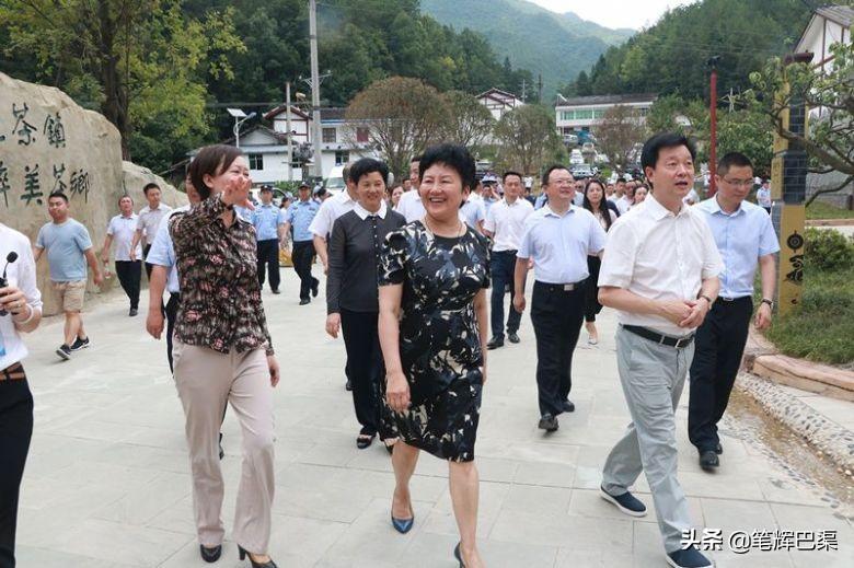 万源富硒茶代言人是哪个（万源富硒茶多少钱一斤）-硒宝网