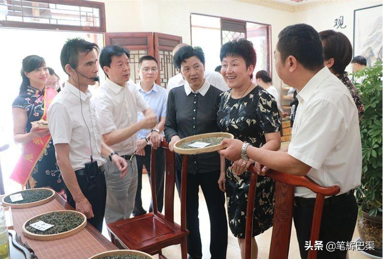 万源富硒茶代言人是哪个（万源富硒茶多少钱一斤）-硒宝网